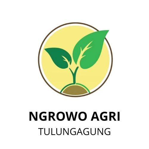 Ngrowo Agri
